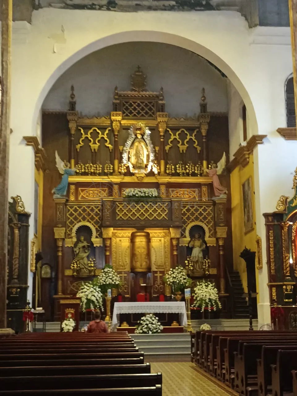 Image of Panama City Tour