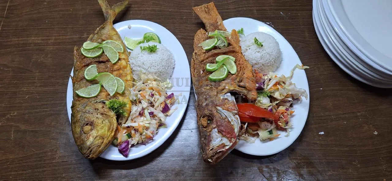 Imagen de Tour Playa Archipiélago de San Blas