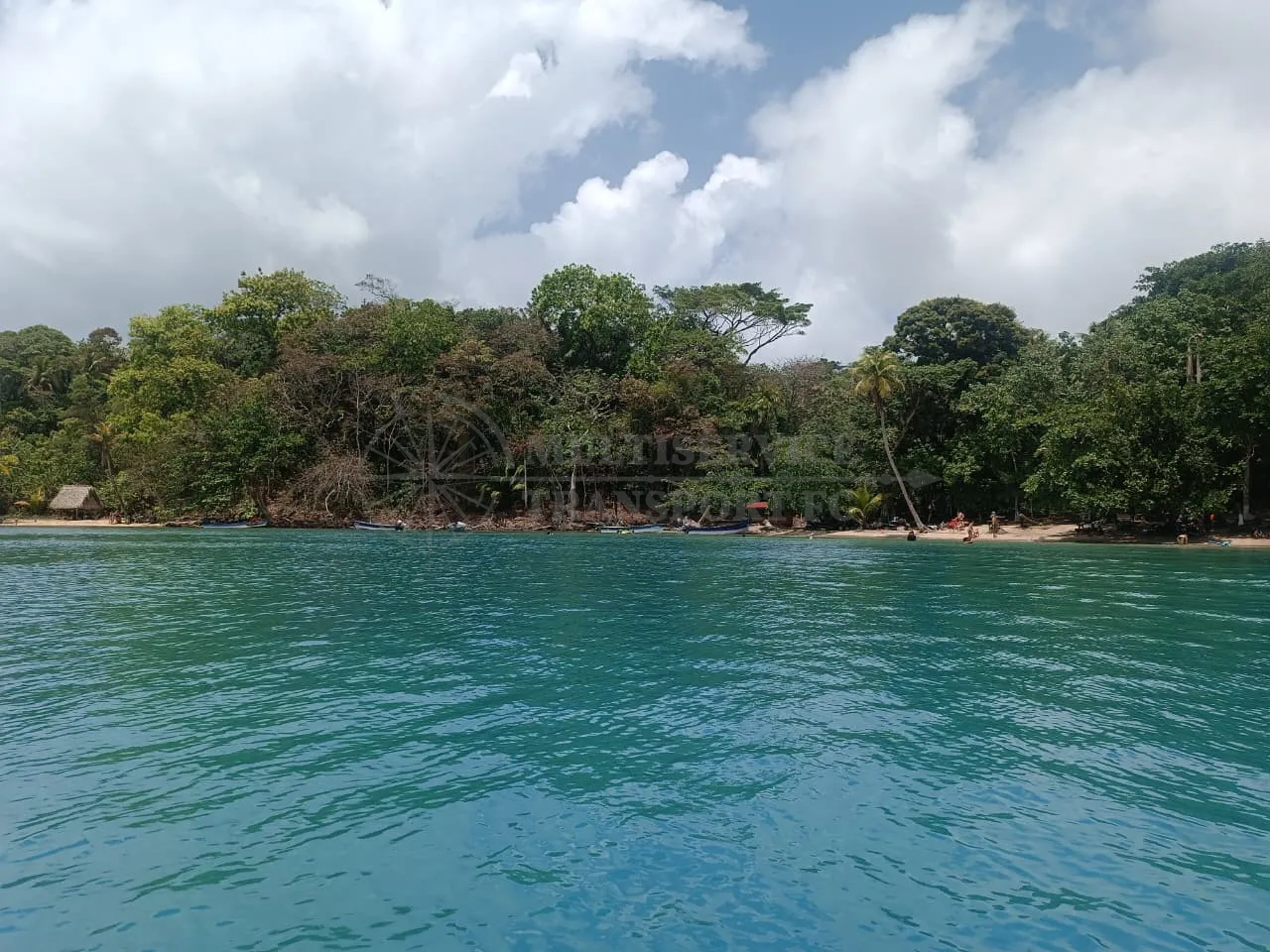 Image of Venas Azules Beach Tour, Colón