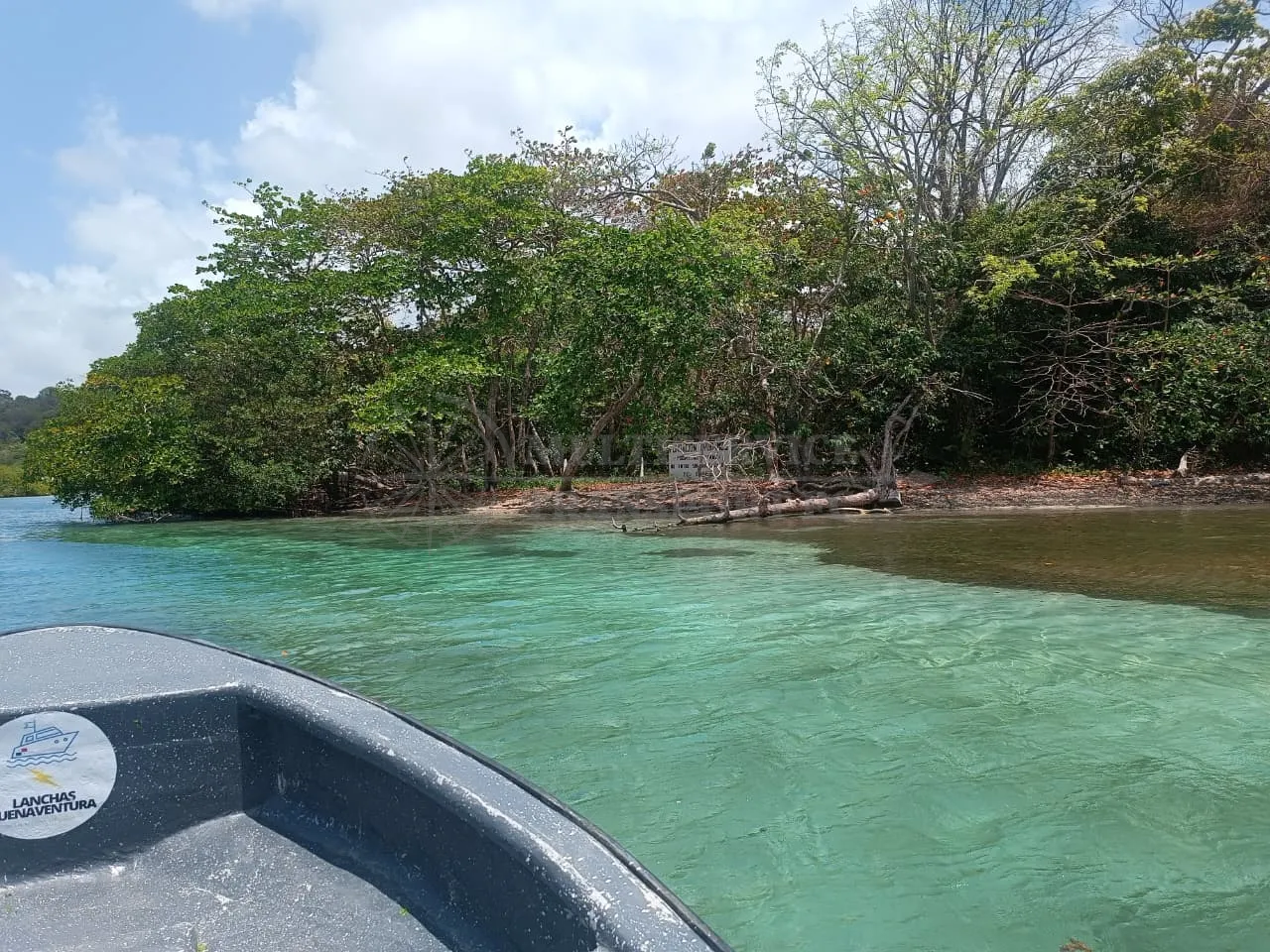 Image of Venas Azules Beach Tour, Colón