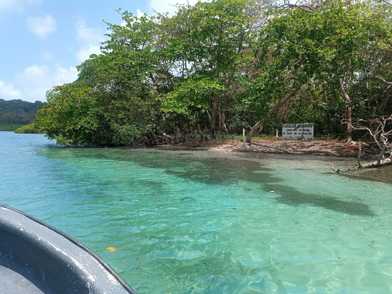 Image of Venas Azules Beach Tour, Colón